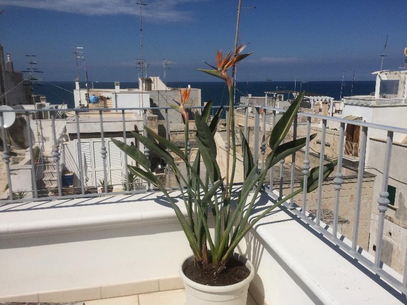 לינה וארוחת בוקר פולינאנו א מארה Respiro Del Mare מראה חיצוני תמונה